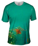 Baby Lionfish Underwater