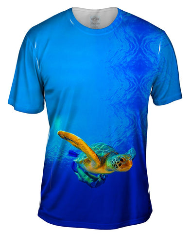 Complicidad Turtle Dive Underwater