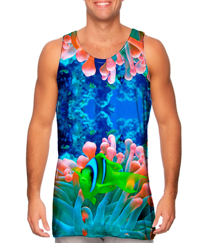 Red Sea Anemone Fish Underwater