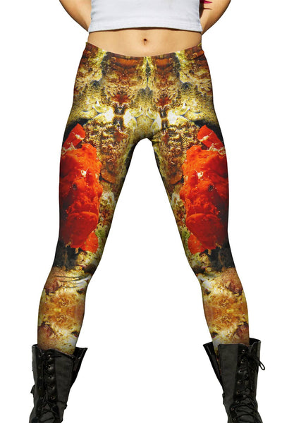 Frog Fish Underwater Womens Leggings