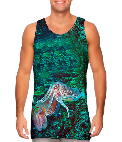 Hooded Cuttlefish Squid Underwater