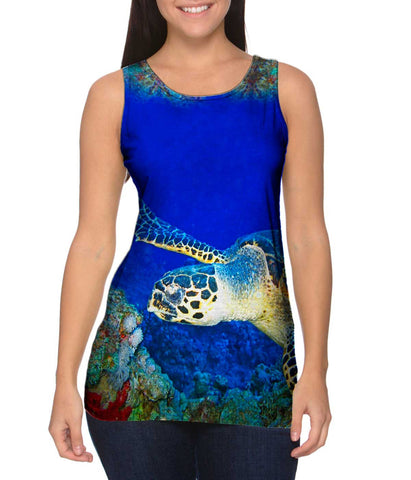 Hawksbill Sea Turtle Underwater