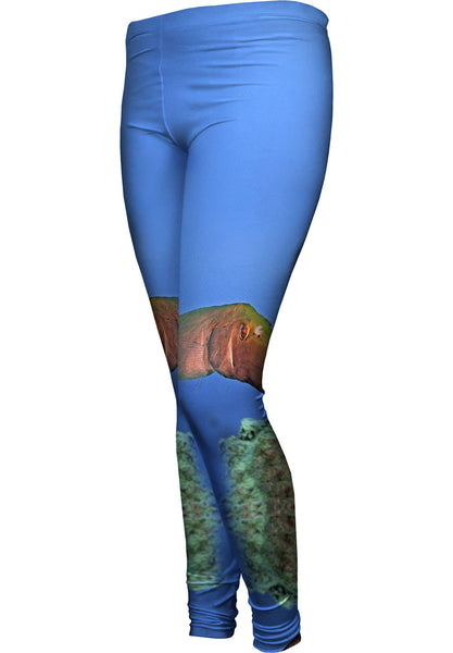 Poison Turlutte Underwater Womens Leggings