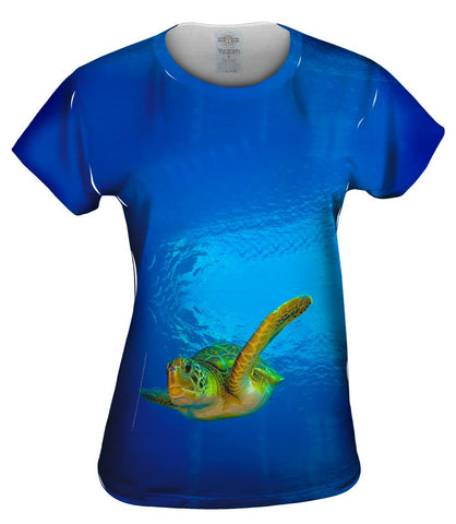 Green Turtle Underwater