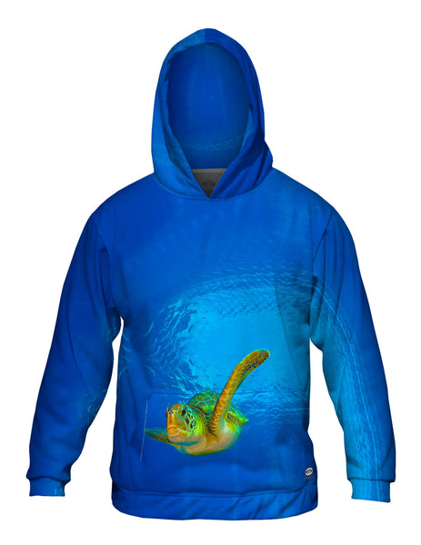 Green Turtle Underwater Mens Hoodie Sweater