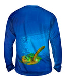 Green Turtle Underwater