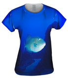Tron Fish Underwater