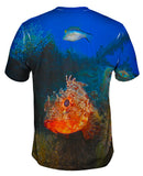 Gros Bras Fish Underwater