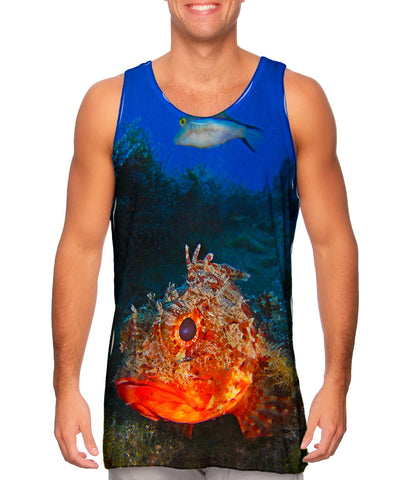 Gros Bras Fish Underwater