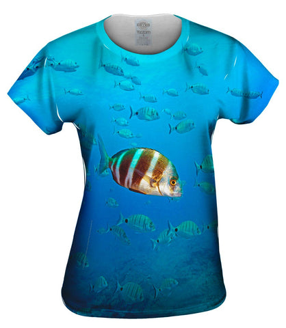 Disfrazado Underwater