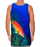 El Bajon Fish Underwater