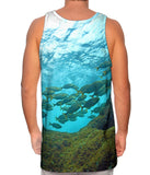 Toujours Au Palier Sky From Underwater