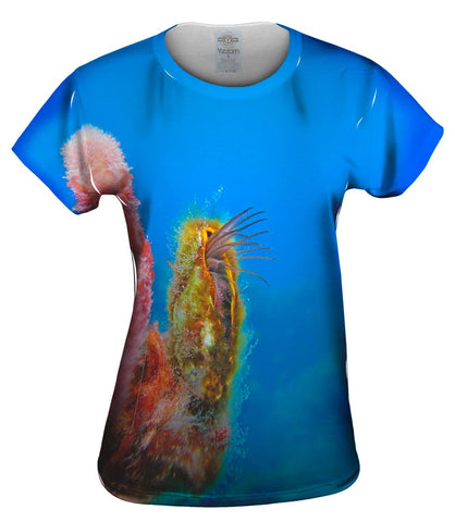 Porta Patos Sea Life Underwater