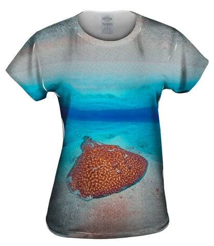 Torpedo Marmorata Underwater