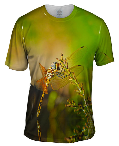 Dragon Fly At Rest Mens T-Shirt