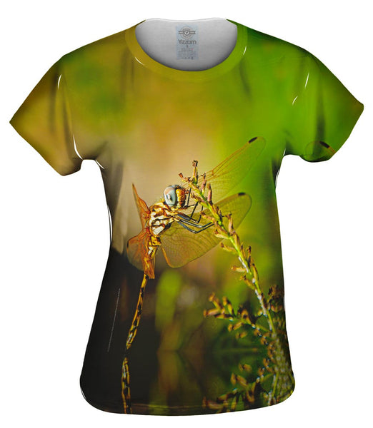 Dragon Fly At Rest Womens Top