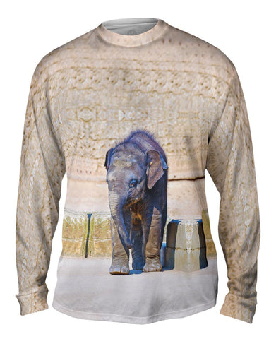 Elephant Baby Wanderer