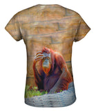 Did I Leave The Stove On Chimp