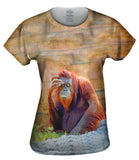 Did I Leave The Stove On Chimp