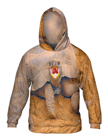 Wrong Side Of The Shell Baby Tortoise