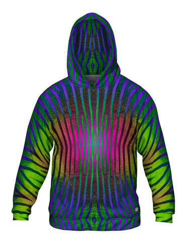 Pink Purple Green Zebra Stripes