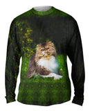 Grassy Cat