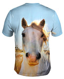 White Horse Portrait