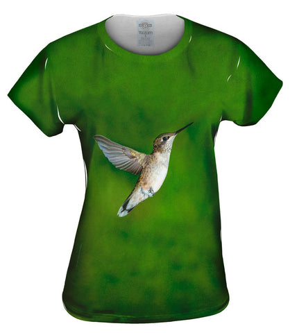 Hummingbird Glide