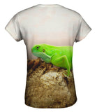 Iguana Afternoon
