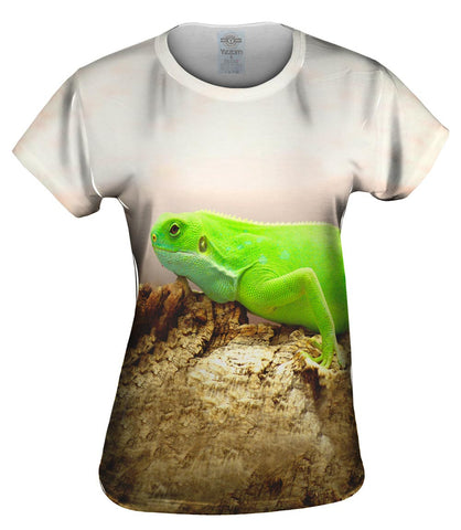 Iguana Afternoon