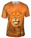 Serious Lion Pose