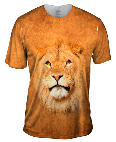 Serious Lion Face