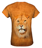 Serious Lion Face
