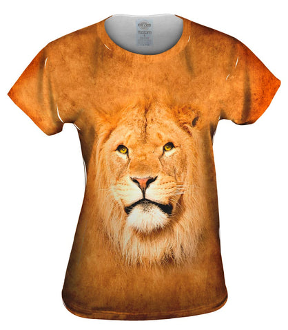 Serious Lion Face