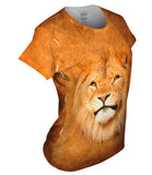 Serious Lion Face
