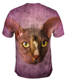 Sphynx Cat Face