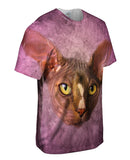 Sphynx Cat Face