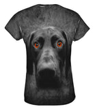 German Short Hair Pointer Dog Face