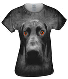 German Short Hair Pointer Dog Face
