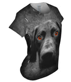 German Short Hair Pointer Dog Face