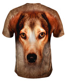 Beagle Dog Face