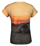 Nesting Mexico Turtle Sunset