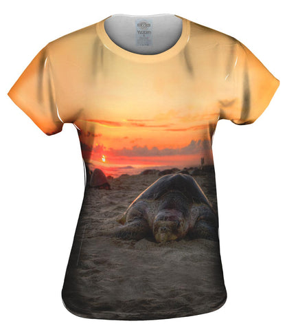 Nesting Mexico Turtle Sunset