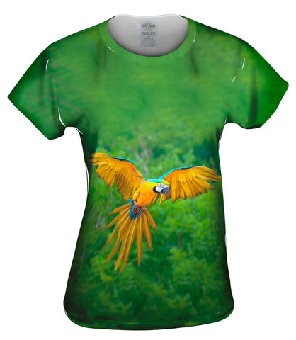 Macaw Parrot Soar