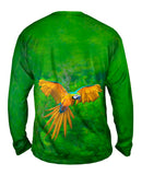 Macaw Parrot Soar