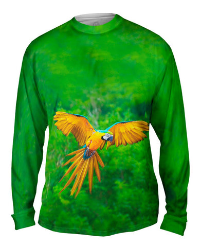 Macaw Parrot Soar