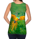 Macaw Parrot Soar