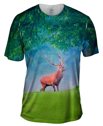 Red Deer Morning