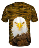 Serious Bald Eagle