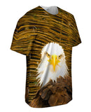 Serious Bald Eagle